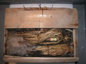 Shackletons Whisky Inside-the-crate