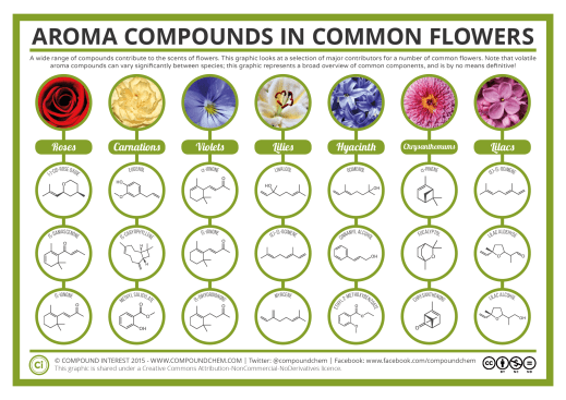 Aroma-Chemistry-Scents-of-Flowers