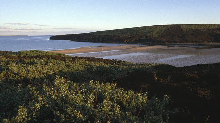 Highland Park Hobbister