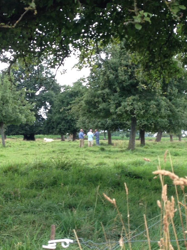 lemorton-orchard-visit