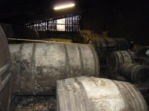 Lemorton Barrel Flora