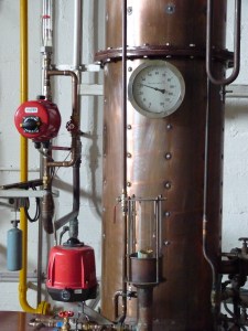 Coquerel still detail